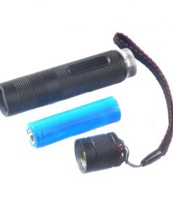 UV flashlight Black light torch